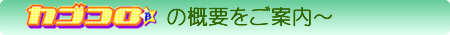 �J�S�R���̊T�v�����ē�
